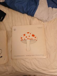 Mushroom Early One Morning Original 1973 LP