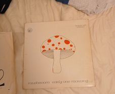 Mushroom Early One Morning Original 1973 LP