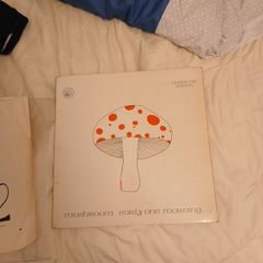 Mushroom Early One Morning Original 1973 LP