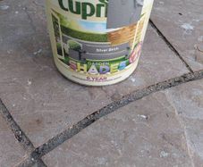 paint