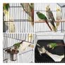 Classic Bird Cage with Outdoor Seat Large Side Door Bird Cage with Stand 145 cm High  for Turtle Pigeons, Cockatiels, Parrots, Parakeets. Image 5