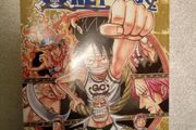 One Piece Volume 45