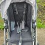 Buggy Image 4