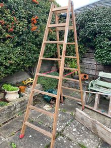 ladders