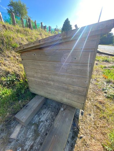 Dog House
