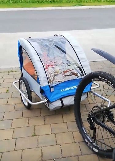 bike trailer for kids