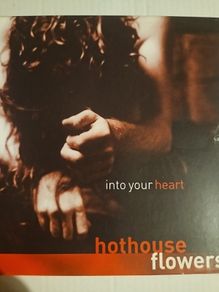 Hothouse Flowers - Into Your Heart.
