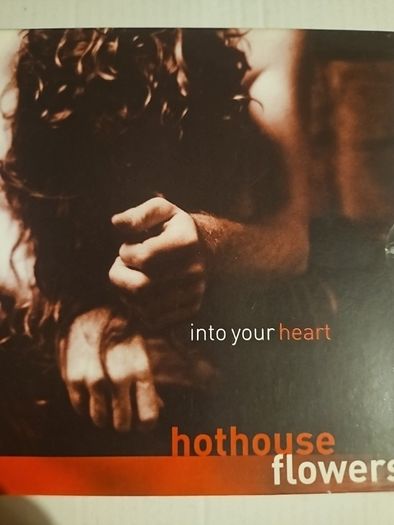 Hothouse Flowers - Into Your Heart.