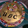 Stunning WBC BOXING full sized third generation championship belt Image 5