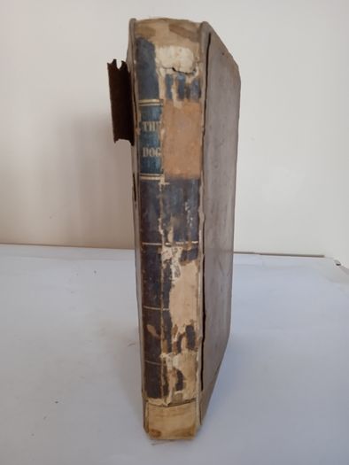 Theologiae Dogmaticae, Vol. 2 by Franciscus Patricius Kenrick (AB516)
