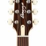 L.R.Baggs AEG 1 E-Acoustic Image 3