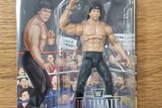 WWE Mattel Ultimate Edition BLACK CARD Ricky Steambot