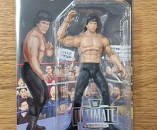 WWE Mattel Ultimate Edition BLACK CARD Ricky Steambot