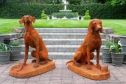 Rusty Pair of Gun Dogs D8839
