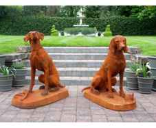 Rusty Pair of Gun Dogs D8839