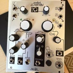 Make Noise Echophon