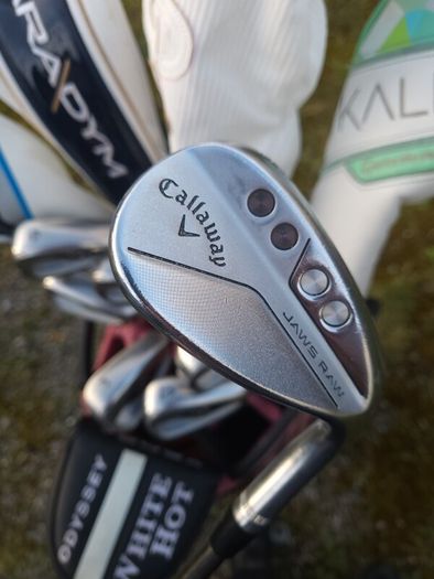 Set of Ladies Golf Clubs