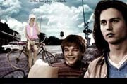 Feature Films - DVD Titles Beginning With The Letter W (Various Genres)
