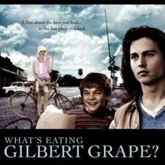 Feature Films - DVD Titles Beginning With The Letter W (Various Genres)