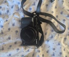 lumix LX100