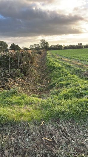 Mulcher and tree shears