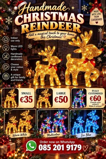 Handmade Light-up Christmas Reindeer