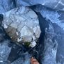 FREE broken concrete. hardcore for fill. Macroom Image 2