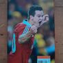 Johnny Sexton Autographed Book - Becoming A Lion Image 2