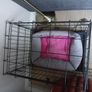 crate Image 2