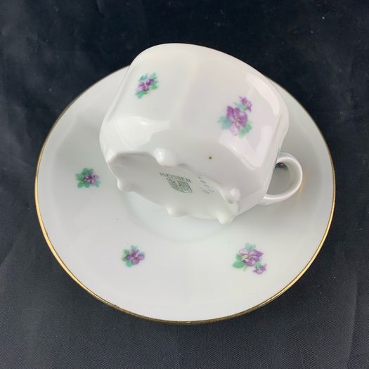 Antique Carl Teichert Meissen Demitasse Cup and Saucer