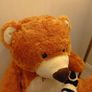 Teddy Bear Large Size Image 3