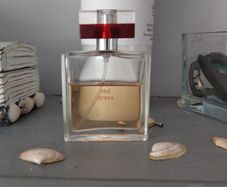 limited edition little red dress perfume