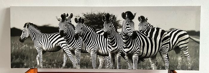 Large Black & White Wall Art Prints. Set of 3