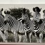 Large Black & White Wall Art Prints. Set of 3 Image 4
