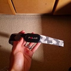 Polar H10
