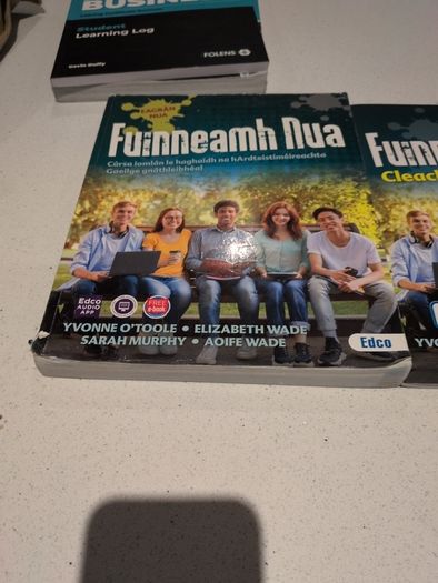 fuinneamh nua leaving cert