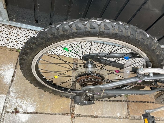 Bentini 20 Pre-Teen Bike