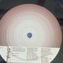 Super Furry Animals - Rings Around The World (First Press inc. 7" & DVD) Image 7