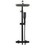 Dual Head Shower Set with Mixer and Hose Black Image 2