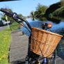 Ladies bike Lapierre 400 City Bike 7 Speed +Wicker Basket & Lock included Image 9