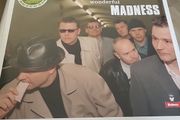 Madness wonderful vinyl