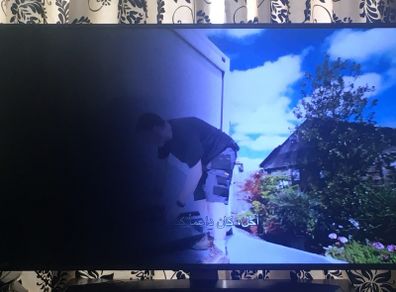 LG 55" Tv needs backlight
