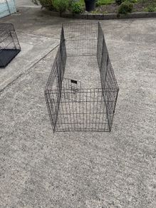 dog run