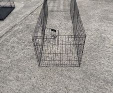 dog run