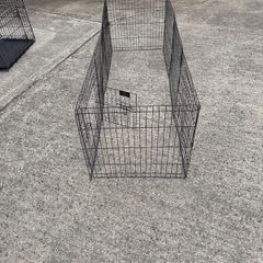dog run