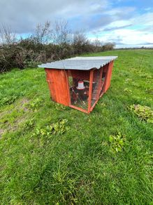 Movable Chicken Coop