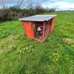 Movable Chicken Coop