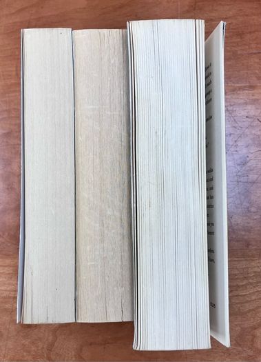 Divergent, Insurgent & Allegiant, by Veronica Roth