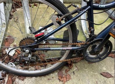 Girls bike 24''