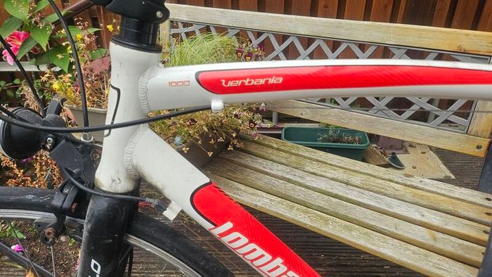 Lombardo Verbania 1000 bicycle